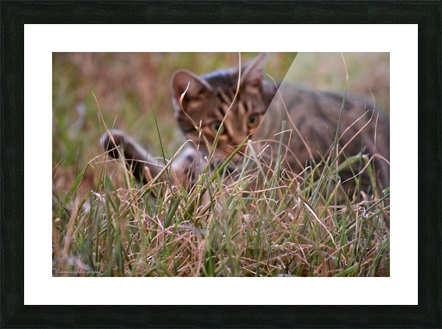 move along Picture Frame print