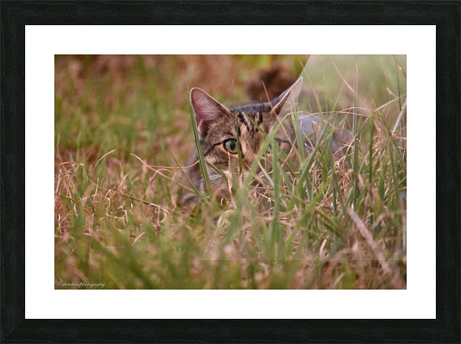 peek a boo Picture Frame print