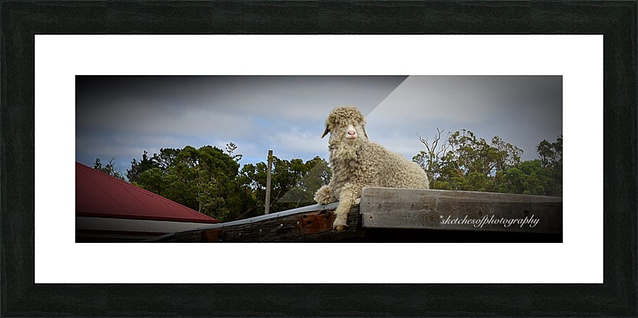 resting on roof Picture Frame print