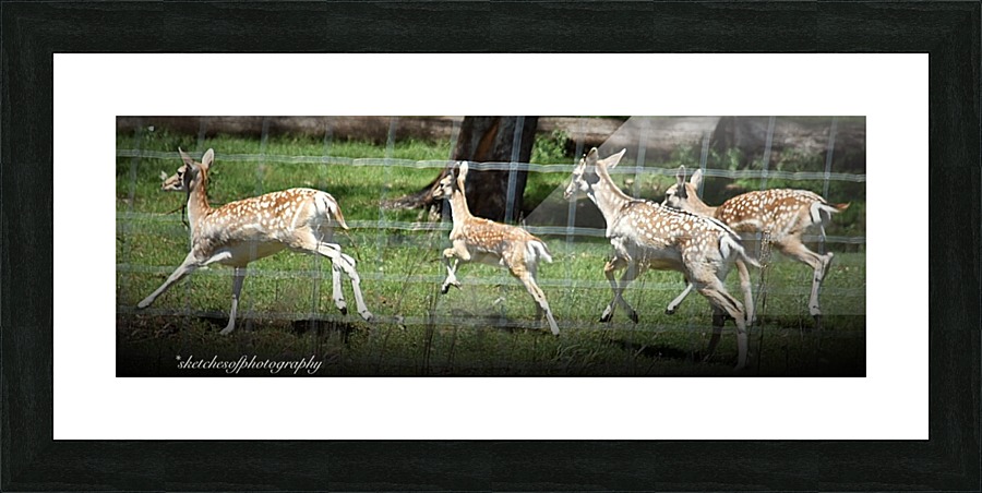 Oh deer Picture Frame print