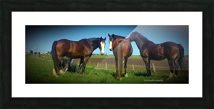 Heavy Horses Picture Frame print