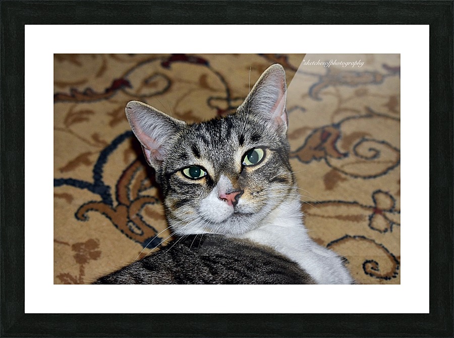 Smiley Tiny Picture Frame print