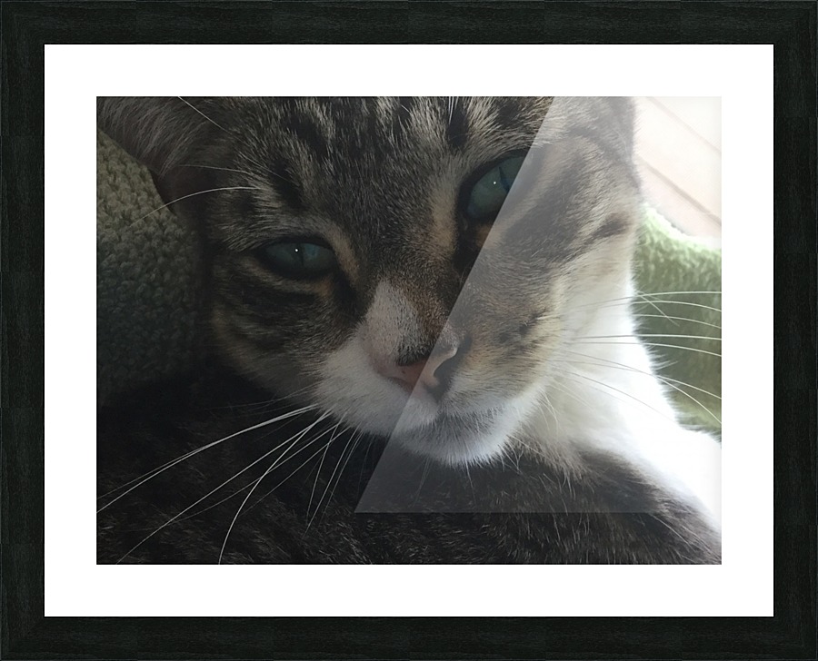 sleepy Tiny Picture Frame print