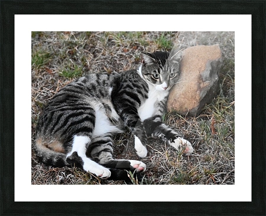 Tiny - Stone for a pillow Picture Frame print