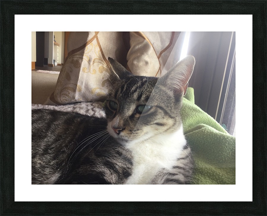 Tiny - what you want Picture Frame print