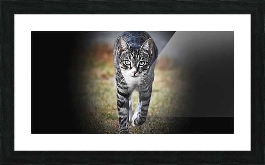 Tiny - walking Picture Frame print