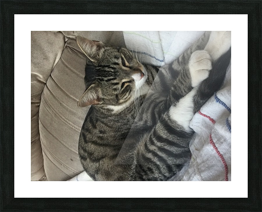 Tiny - tired Picture Frame print