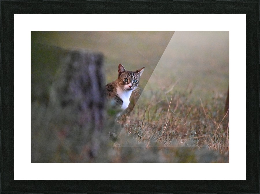 Tiny - see you ... Picture Frame print