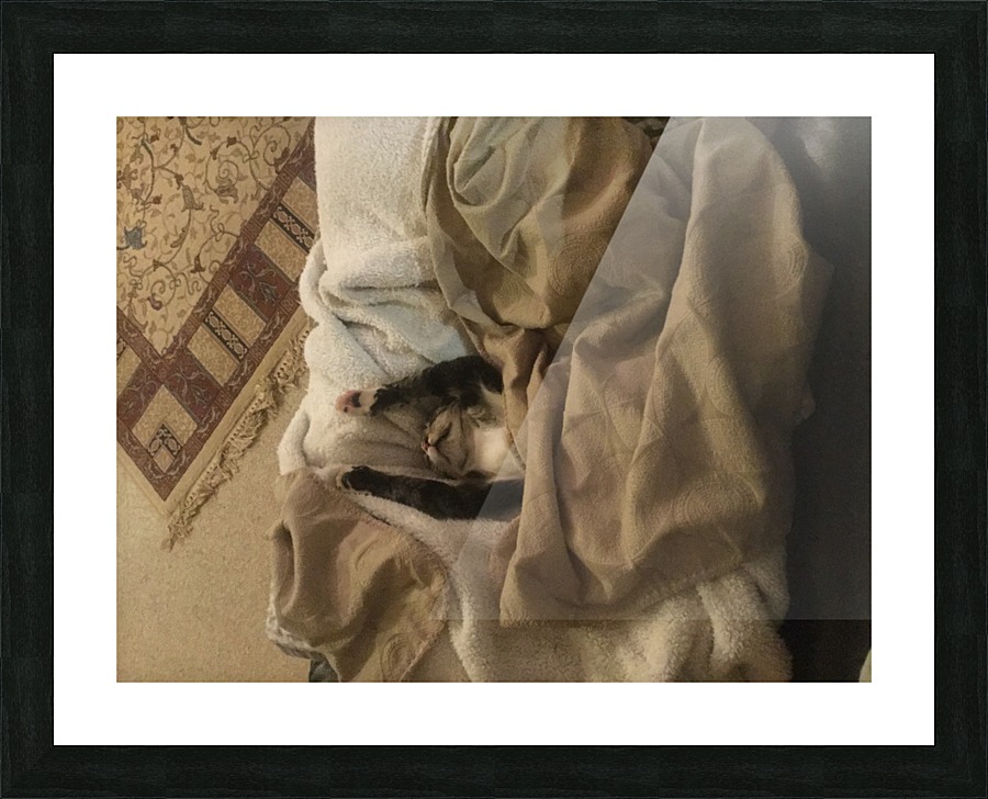 Tiny - getting hot. Picture Frame print