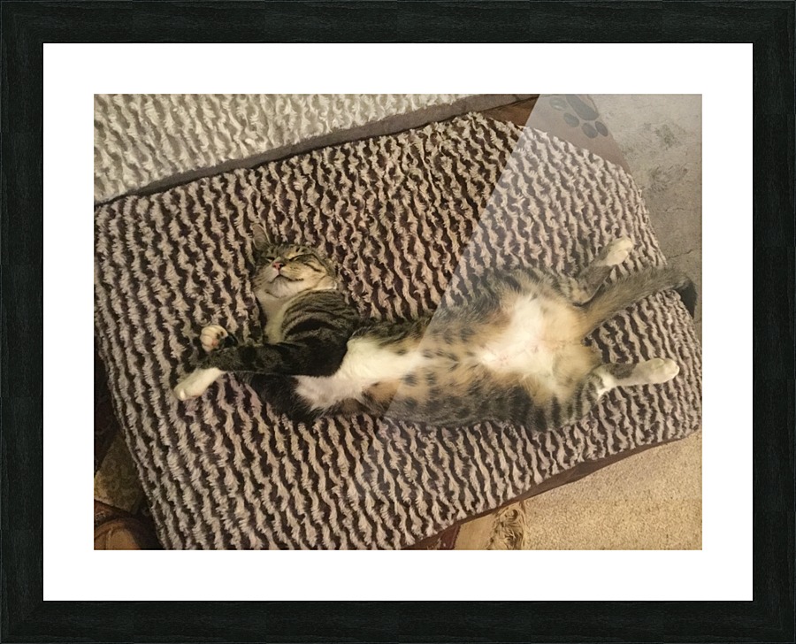 Tiny - yoga'd out Picture Frame print