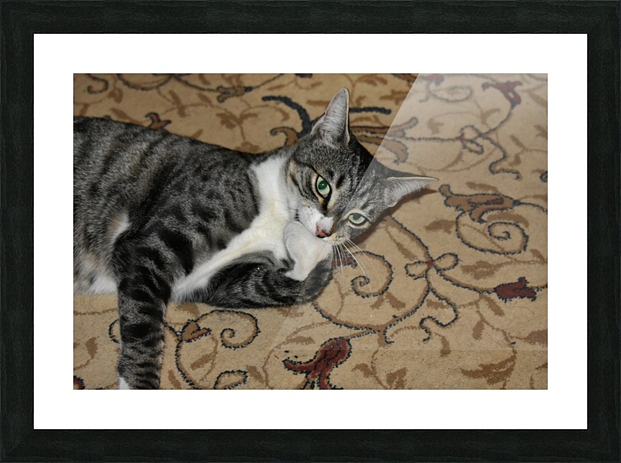 Tiny - eat my foot Picture Frame print