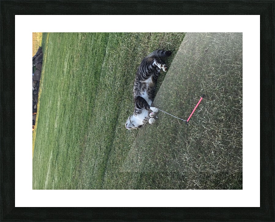 Tiny - got it.... Picture Frame print