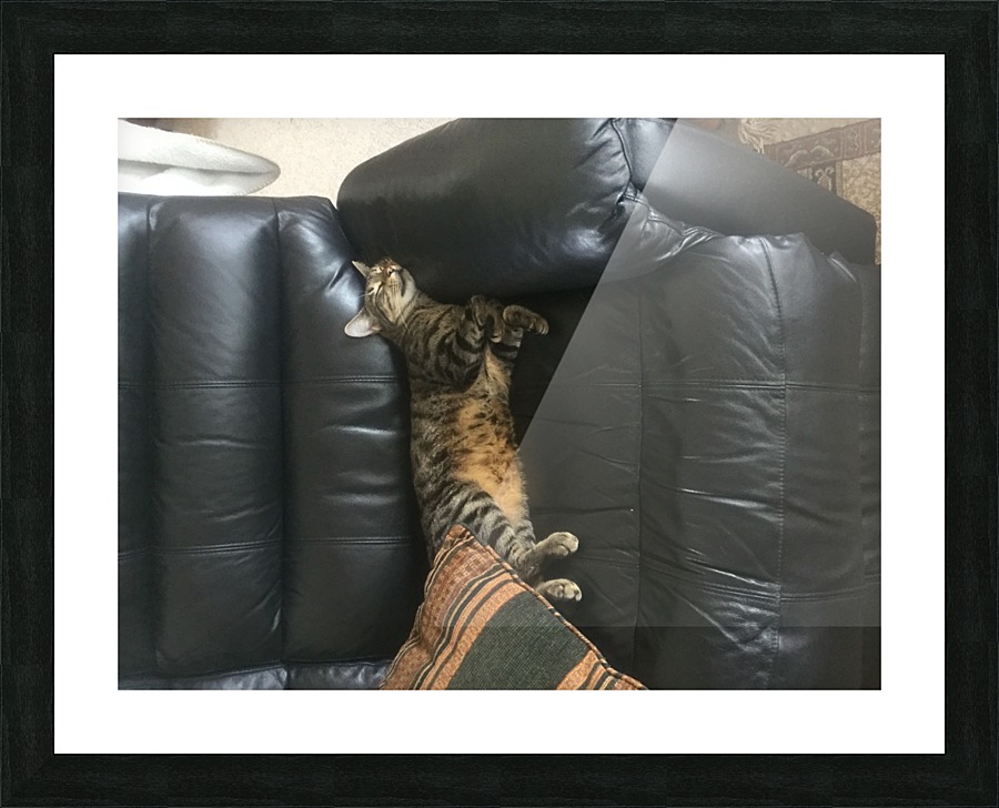 Gizmo - headrest Picture Frame print