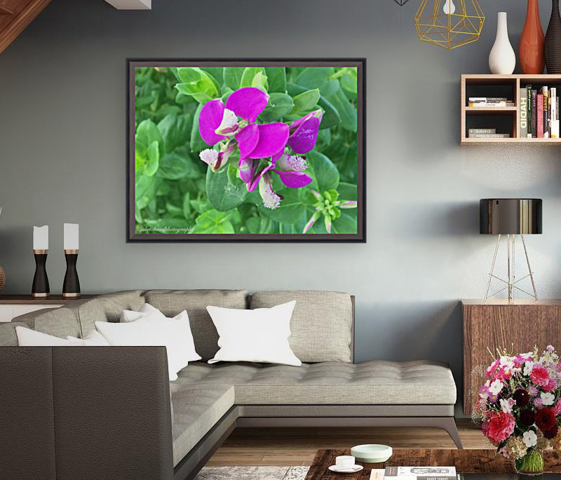 Purple Reproduction