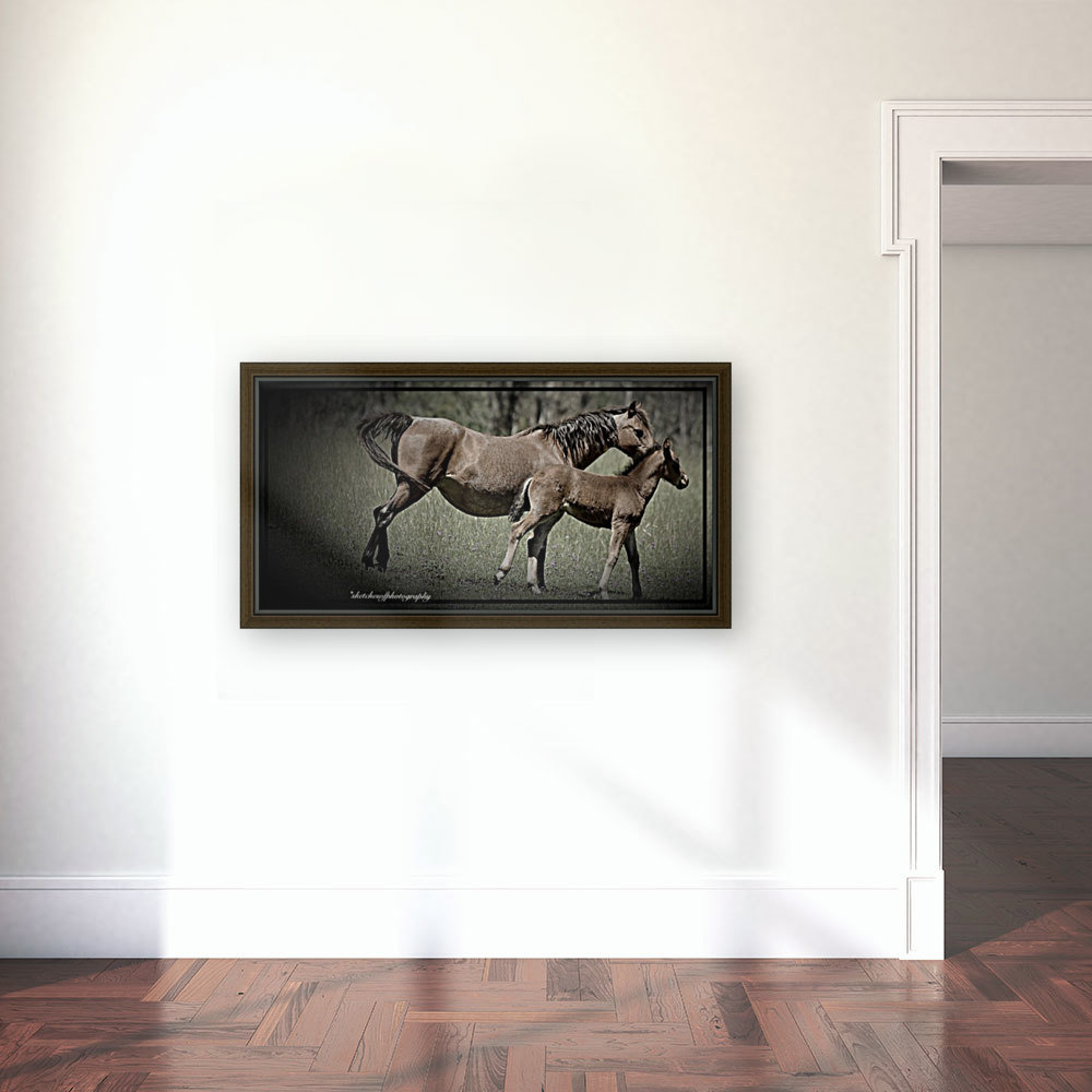 Mare & foal Reproduction
