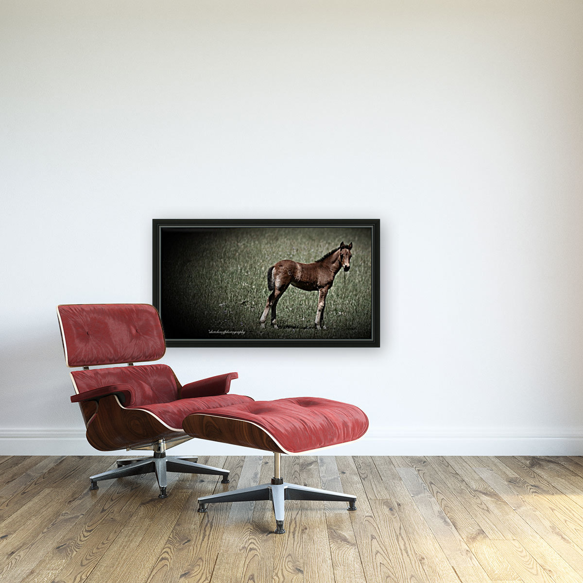Foal looking Reproduction