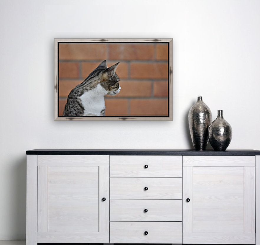 Tiny - who you Reproduction