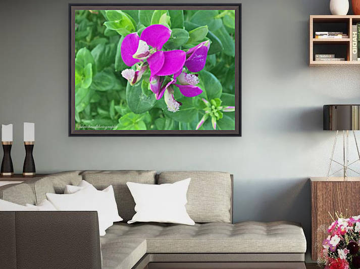 Purple Reproduction