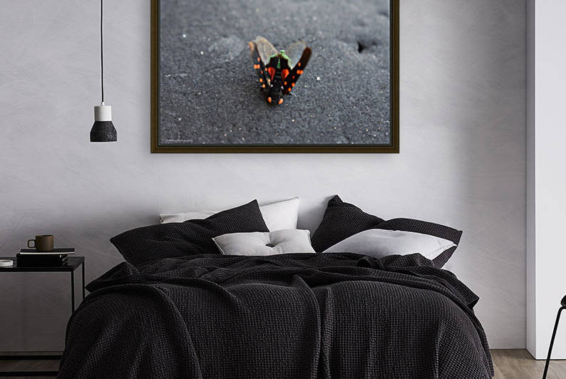 bug Reproduction