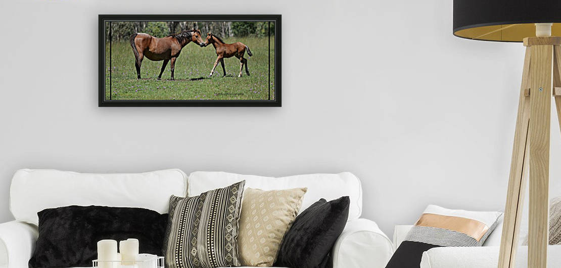 Mare & foal a by Eric and Pam Schmidt