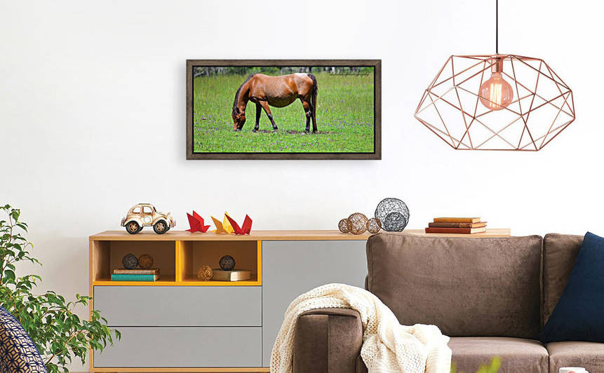 Mare grazing by Eric and Pam Schmidt