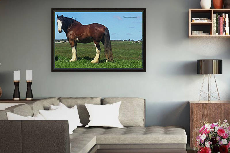 Heavy horse by Eric and Pam Schmidt