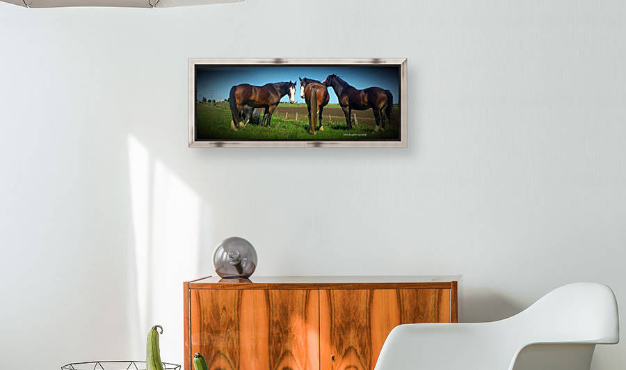 Heavy Horses by Eric and Pam Schmidt