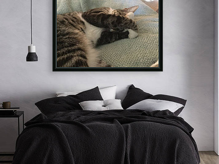Tiny - do not disturb by Eric and Pam Schmidt