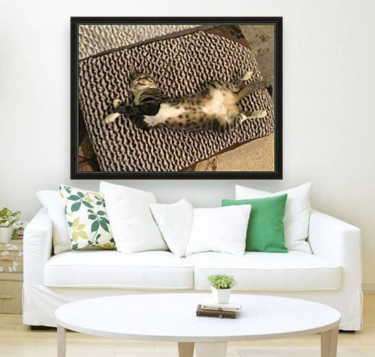 Tiny - yoga'd out by Eric and Pam Schmidt