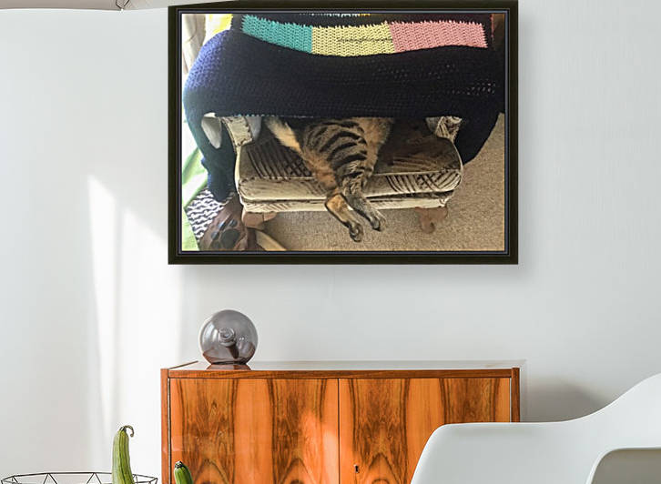 Gizmo - showing m bottom by Eric and Pam Schmidt