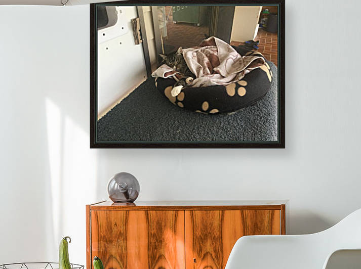 Tiny - love my bed by Eric and Pam Schmidt