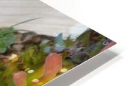 Upside top HD Metal print