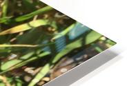 Puff HD Metal print
