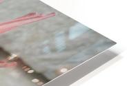 beauty HD Metal print
