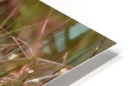 peek a boo HD Metal print