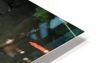 King parrot HD Metal print