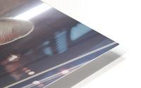 Tiny - what you want HD Metal print