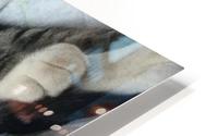 Tiny - tired HD Metal print