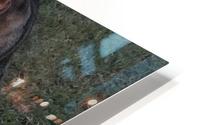 Tiny - whats that HD Metal print