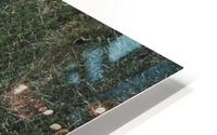 Tiny - got it.... HD Metal print