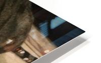 Gizmo - close up HD Metal print