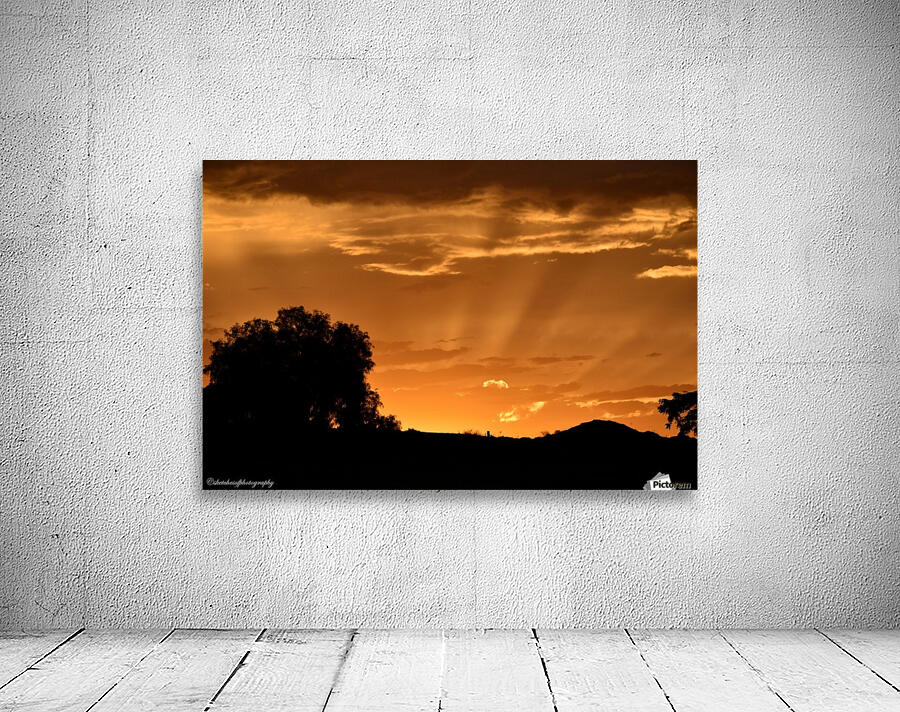 Golden sunset Wall Preview