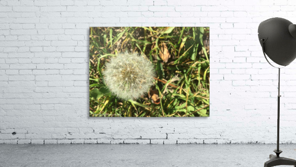 Puff Wall Preview