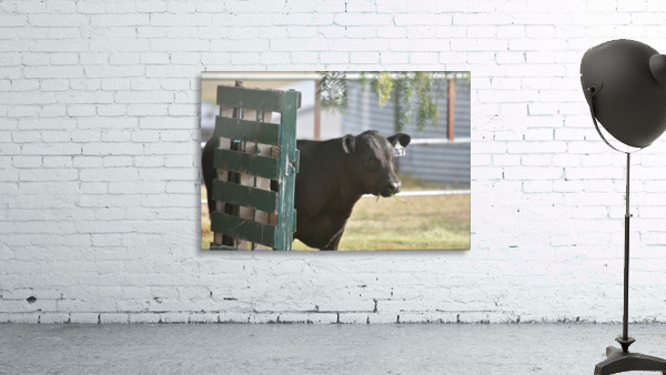 Pallet Wall Preview