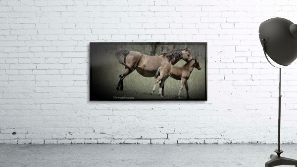 Mare & foal Wall Preview