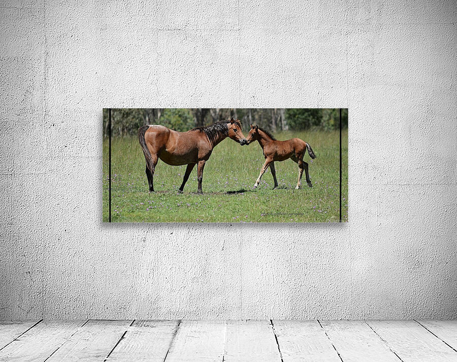 Mare & foal a Wall Preview