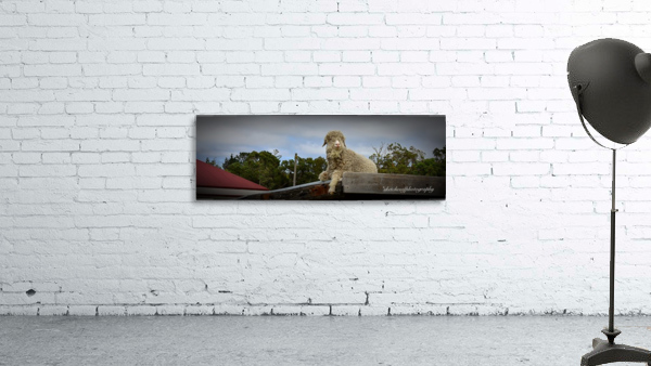 resting on roof Wall Preview