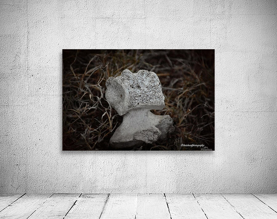 Bone in grass Wall Preview