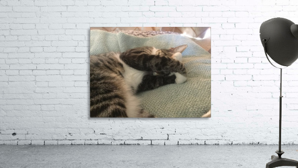 Tiny - do not disturb Wall Preview