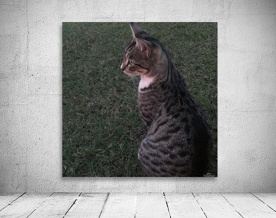 Tiny - whats that Wall Preview